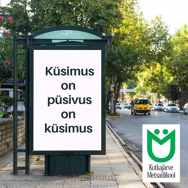 Küsimus on püsivus? Püsivus on küsimus?